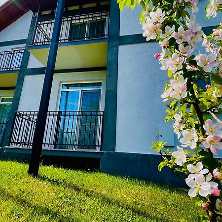 Vila Salzburg Hotel Ocna Sibiului Exterior foto